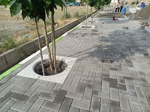 photo19906087835