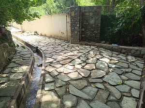 photo19479342087